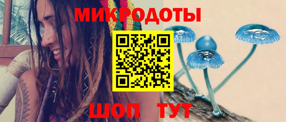 Галлюциногенные грибы Cubensis Белореченск